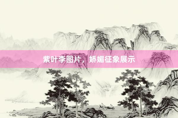 紫叶李图片，娇媚征象展示
