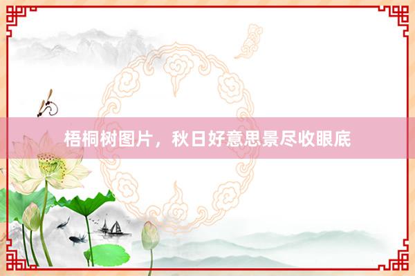 梧桐树图片，秋日好意思景尽收眼底