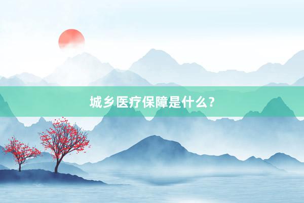 城乡医疗保障是什么？