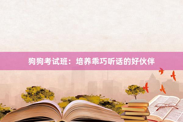狗狗考试班：培养乖巧听话的好伙伴